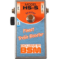 BSM HSS MASTER