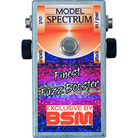 BSM SPECTRUM