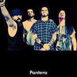 Pantera