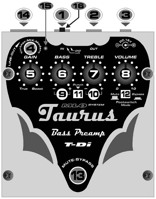 T-DI features